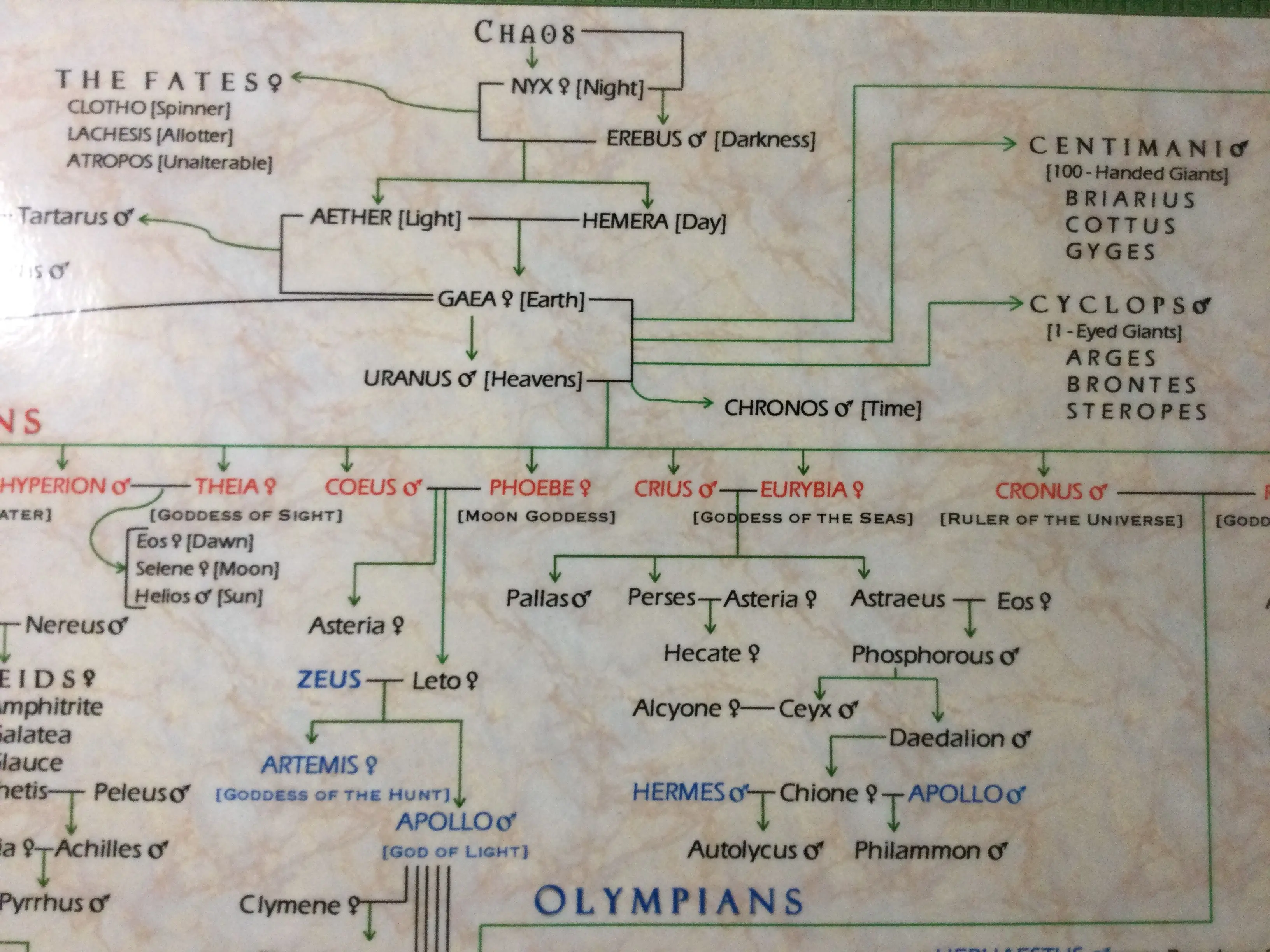 Family Tree of Greek Mythology Pedigree Poster Artistic Decor wall art