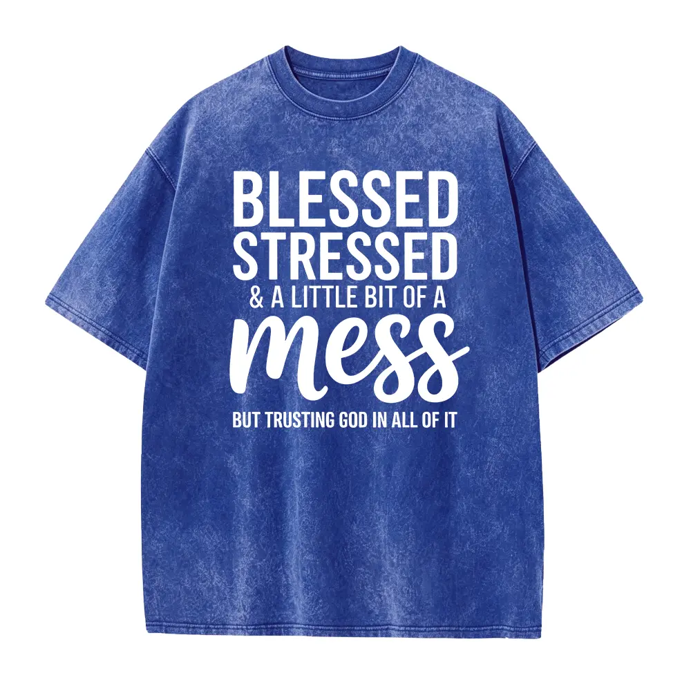 Blessed Stressed A Little Bit Of A Mess Trusting God Graphic t-shirt ,  Casual tshirt