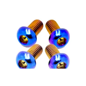 Titanium Controller Mount Bolts for Surron, Talaria Sting & XXX, E-Ride Pro