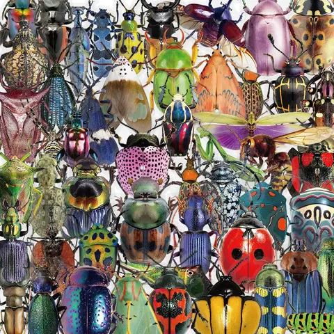 Insect Pattern Sticker, 50pcs/set Decal Set Colorful Insect Simulation 3D Teaching Sticker, DIY Decorative Sticker for Phone Case, Computer, Guitar, Bag, Water Cup, Scrapbook, Funny Stickers