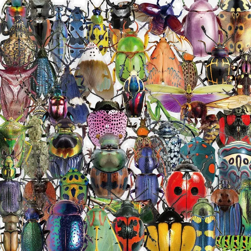Insect Pattern Sticker, 50pcs/set Decal Set Colorful Insect Simulation 3D Teaching Sticker, DIY Decorative Sticker for Phone Case, Computer, Guitar, Bag, Water Cup, Scrapbook, Funny Stickers