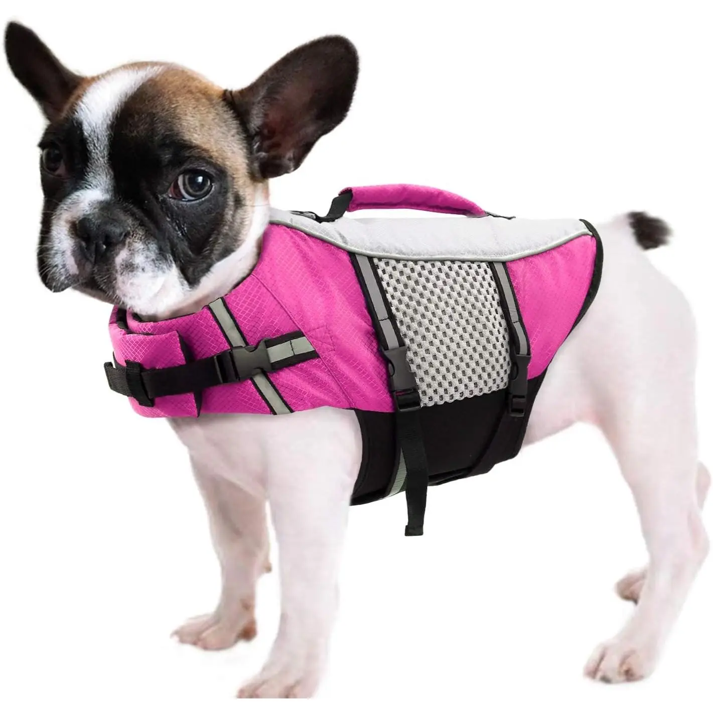 Dog Life Jacket Swimming Vest Small Medium Dogs Neoprene Water Boating Life Preserver Lightweight Reflective Cat Puppy Kayaking Lifesaver for Yorkshire Terrier,Chihuahua,Teacup (Pink,XS)