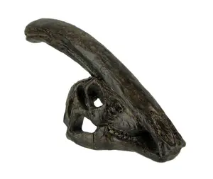 Parasaurolophus Dinosaur Head Fossil Statue Small