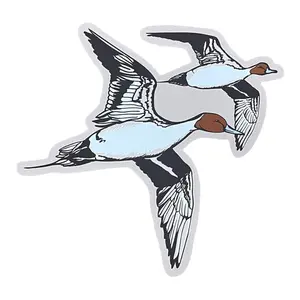Banking Pintail Decal