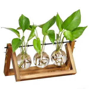 3 Bulbs Glass Propagation Station Retro Wooden Stand Desktop ，Plant Terrarium for Indoor Plants, Home Office Desk Decor, Gardening Gifts for Women Mom, Birthday Gifts for Plants Lovers