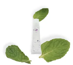 Peppermint Lip Gloss Hydrating Lipstick Makeup