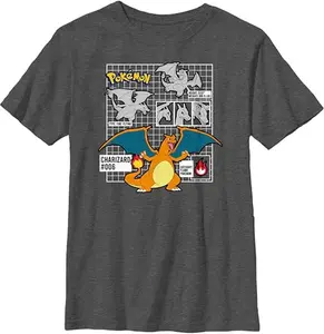 Charizard Evolution Graphic T-Shirt | Basic Unisex Shirt | Artistic Streetwear Sweatshirt | Gift for him