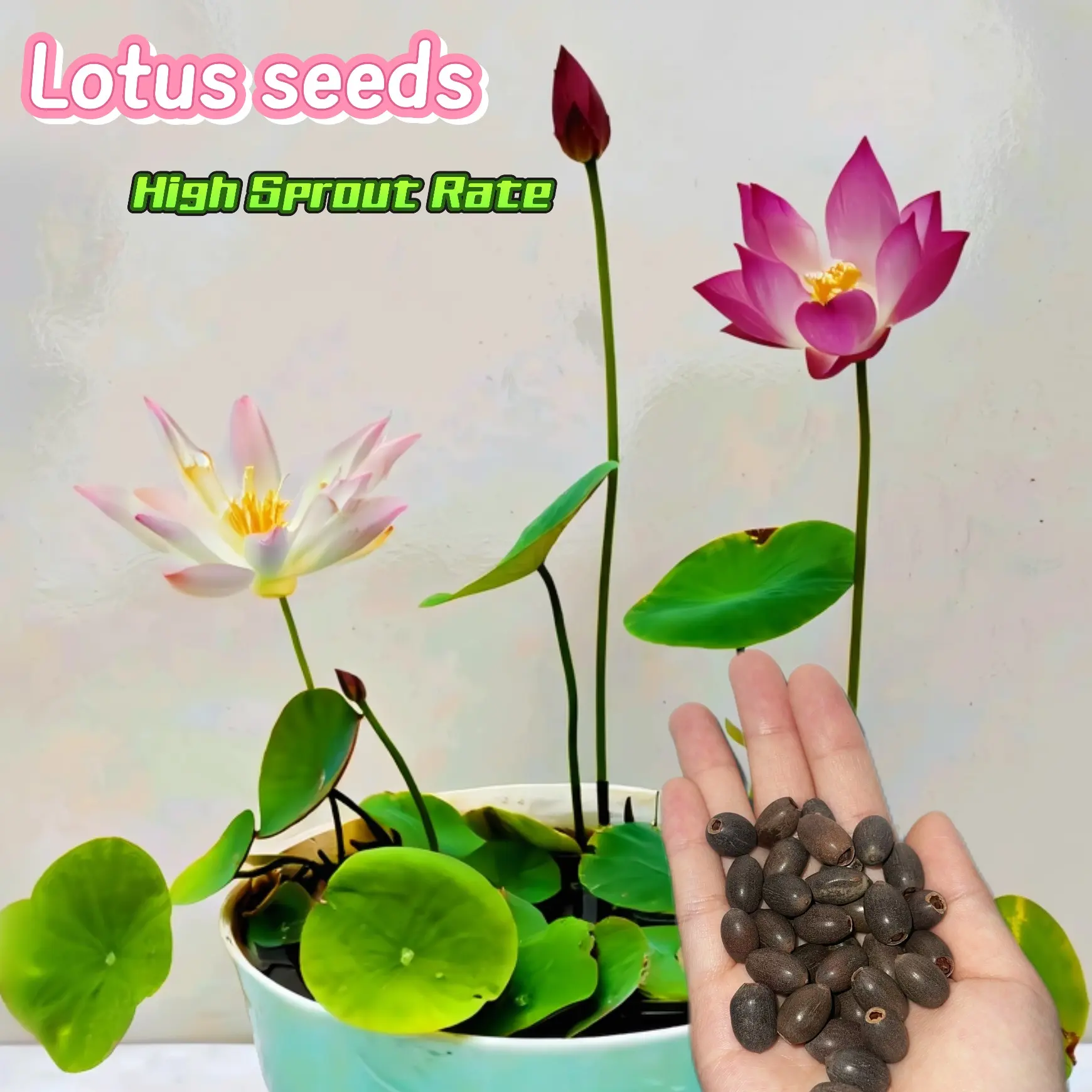 african violet potting soil mix African Violet Imperial Potting Soil, Mini Bag main image 0
