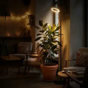 Standing Grow Light for Indoor Plants,Full Spectrum LED Floor Lamp with Auto 3/9/12H Timer & Memory, Height Adjustable 16"-75.59" & Flexible Gooseneck for Tall Plants in Living Room Bedroom Office,Enable Plants In Any Corner Of The Home To Grow Vigorously