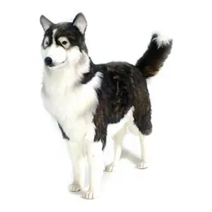 Hansa Toys Life Size Husky Dog - Brown and White Hansa Toys Life Size Husky Dog - Brown and White