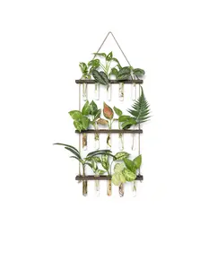 Mkono Plant Propagation Tubes, 3 Tiered Wall Hanging Terrarium with Wooden Stand Mini Test Tube Flower Vase Glass Planter Stations for Hydroponic Cutting Home Garden Office Decor Plant Lover Gift