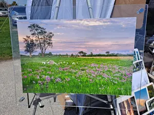Acrylic float frame with standoffs