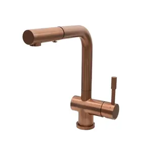 Nassau Stainless Steel 1 Handle Pull-Out Swivel Kitchen Faucet with PVD Finish Includes Baseplate