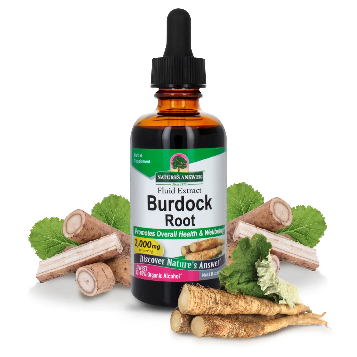 Nature's Answer Burdock Root | Herbal Supplement | Super Concentrated | Promotes Overall Well-being | Low Alcohol & Gluten-Free 2oz Extract | Single Count