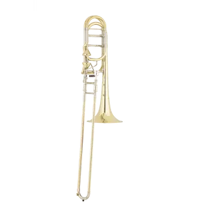 S.E. Shires Q Series Bass Trombone Yellow Brass Bell w/Axial Valves (TBQ36YA)