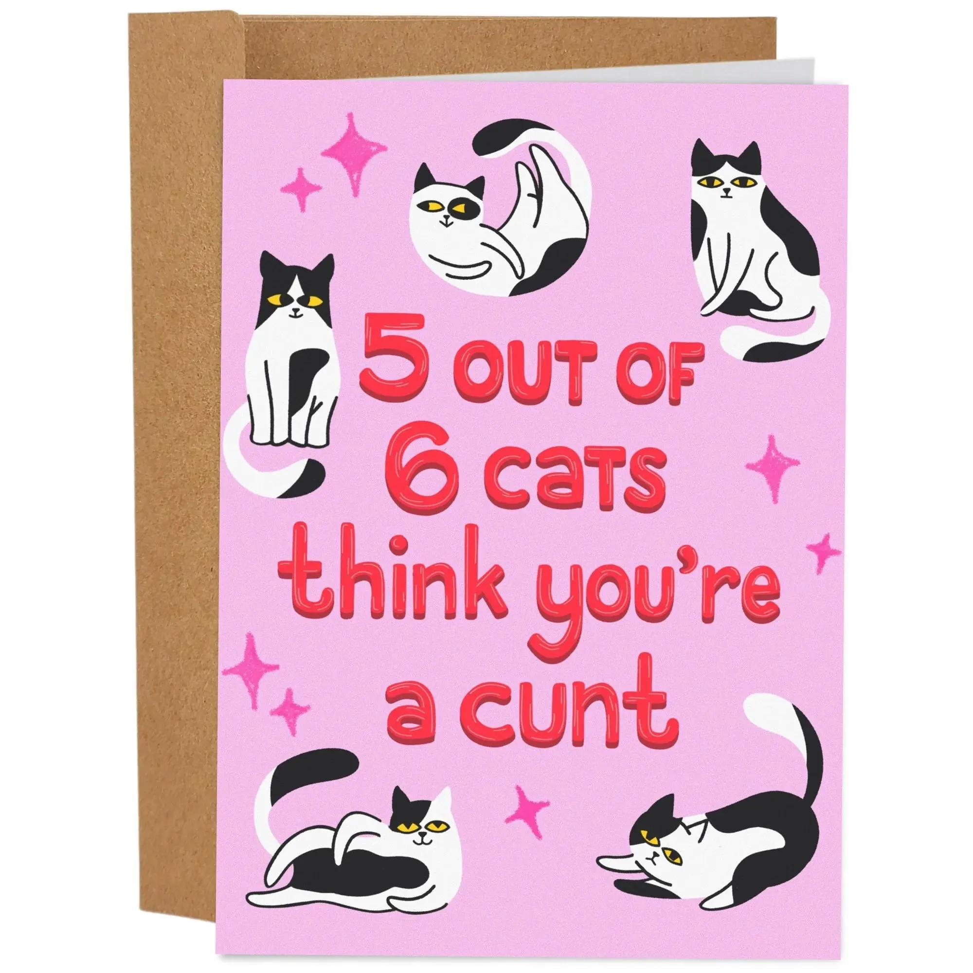 Funny Cat Birthday Card, Adult Humor Birthday Card, Sarcastic Birthday Card, Offensive Cat Greeting Card, Blank Inside