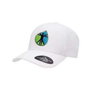 Vitruvian Logo Hat