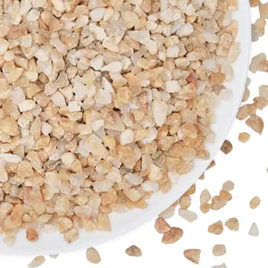 2.5 lbs Coarse Sand for Plants, 1/5 Inch Horticultural Sand for Succulents, Desert Silica Sand for Cactus, Vases, Aquariums, Terrarium, Fish Tank, Drainage Gravel for Potted Plants, Bamboo, Crafts