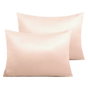 Bedsum 2 Pieces Matte Satin Zipper Small Pillowcase, Silky Travel Pillow Cover, 13"x18"