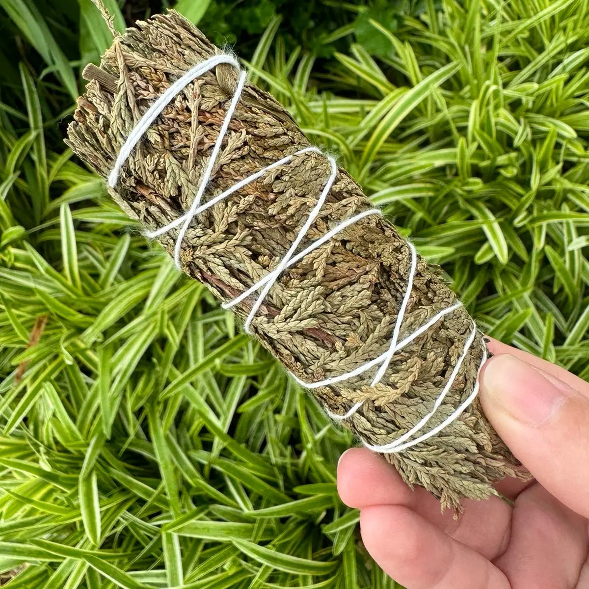 Cedar Sage Bundle