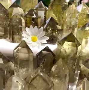 Clarence Tik Tok stone shop show time live