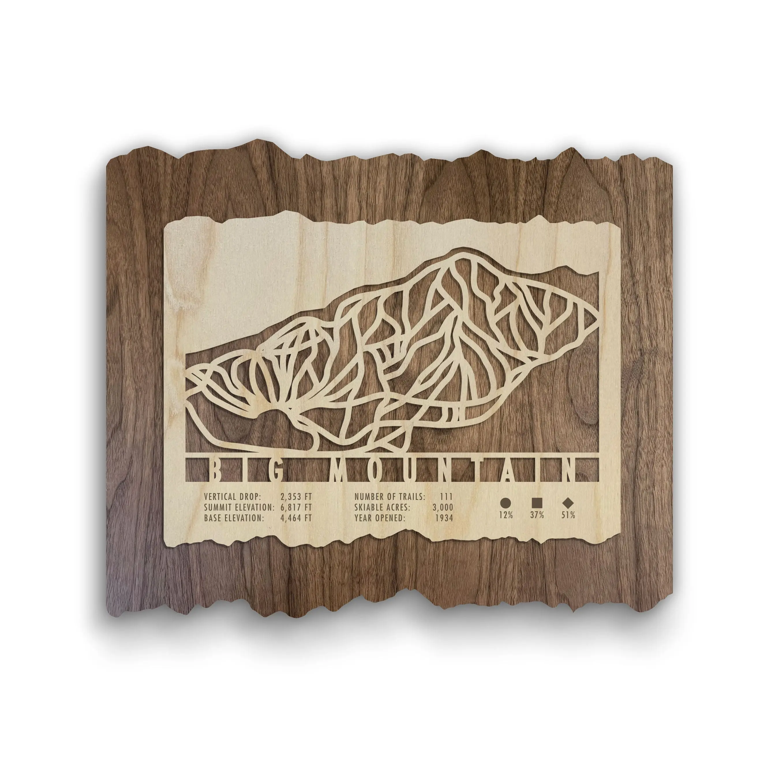 Big Mountain Ski Trail Map