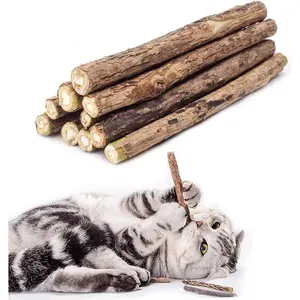 10 PCS Cat Catnip Sticks, Natural Matatabi Silvervine Sticks - Cleaning Teeth Molar Tools Kitten Chew Toy Natural Catnip Cats Toy