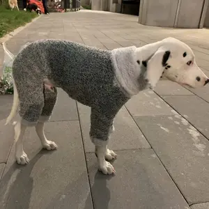 Pet Dog Fashionable European and American Style Double-Sided Plush Warm Bodysuit for Dalmatian, Greyhound Puppy Rabbit Hunting Hound Whippet Fine-Coated Retriever. Autumn Winter Cozy Onesie