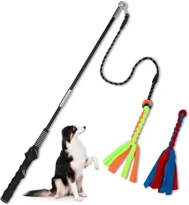 Wacky Teaser Wand for Dogs Play Toy