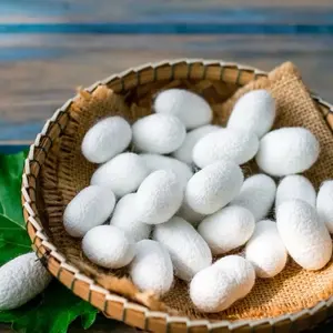 Mulberry Silk Beauty Cocoons