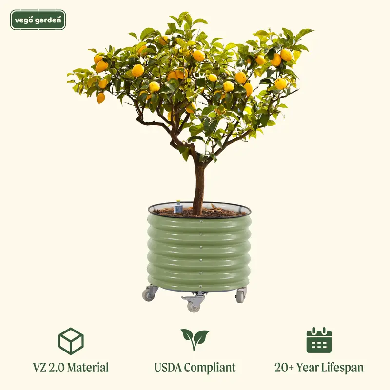 Vego Garden VZ 2.0 Metal 30-Gallon Rolling Citrus Tree Planter, 304 Steel Frame, Self-Watering System, Locking Wheels, Sturdy Corrosion-Resistant Round Planter Box for Porch Patio with Moisture Control for Trees Tomatoes Flowers