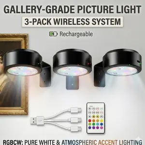 3-Pack Rechargeable Picture Lights for Wall, Wireless Painting Light with Remote Control, RGB + Warm White outdoorfun