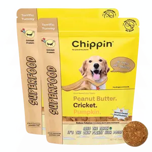 Chippin Superfood Peanut Butter, Pumpkin, and Cricket Protein Crunchy Biscuits for Dogs, Fiber Rich to Support Gut Health & Improve Poops, Hypoallergenic for sensitive pups