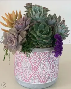Succulent Arrangement- Engraved ceramic vase