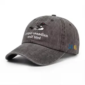 Stupid Canadian Wolf Bird Hat, Heated Rivalry Hat, 24 81 Baseball Cap, Book Lover Gift, Shane and Ilya Loon Embroidered Hat, Unisex - Tiktok Shop