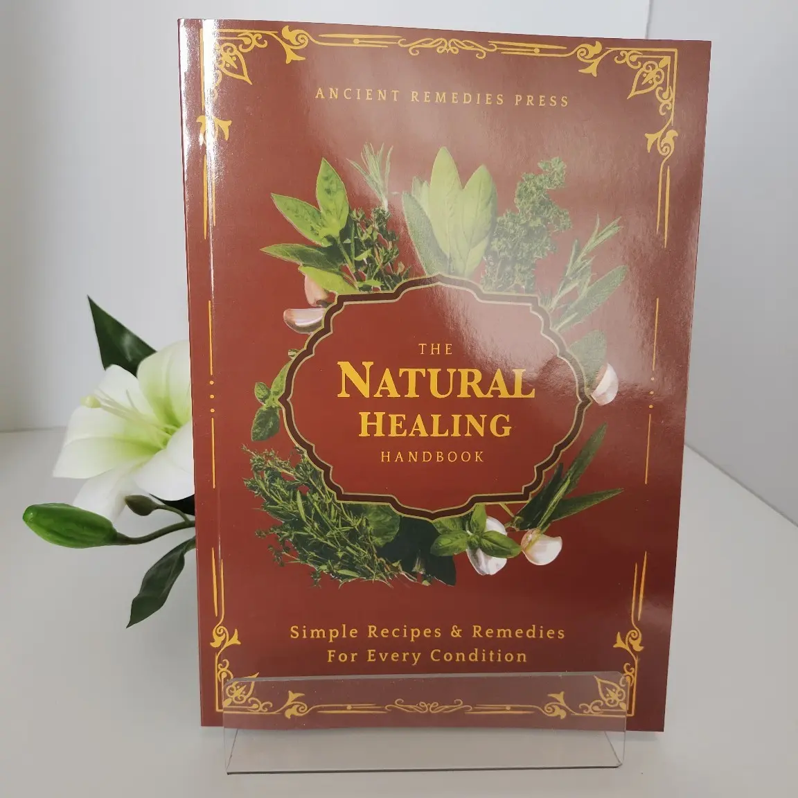 Natural Healing Handbook Classical Therapy English Edition Health & Wellness Food Recipes, Essential Guide for Holistic Well-Being Healthy