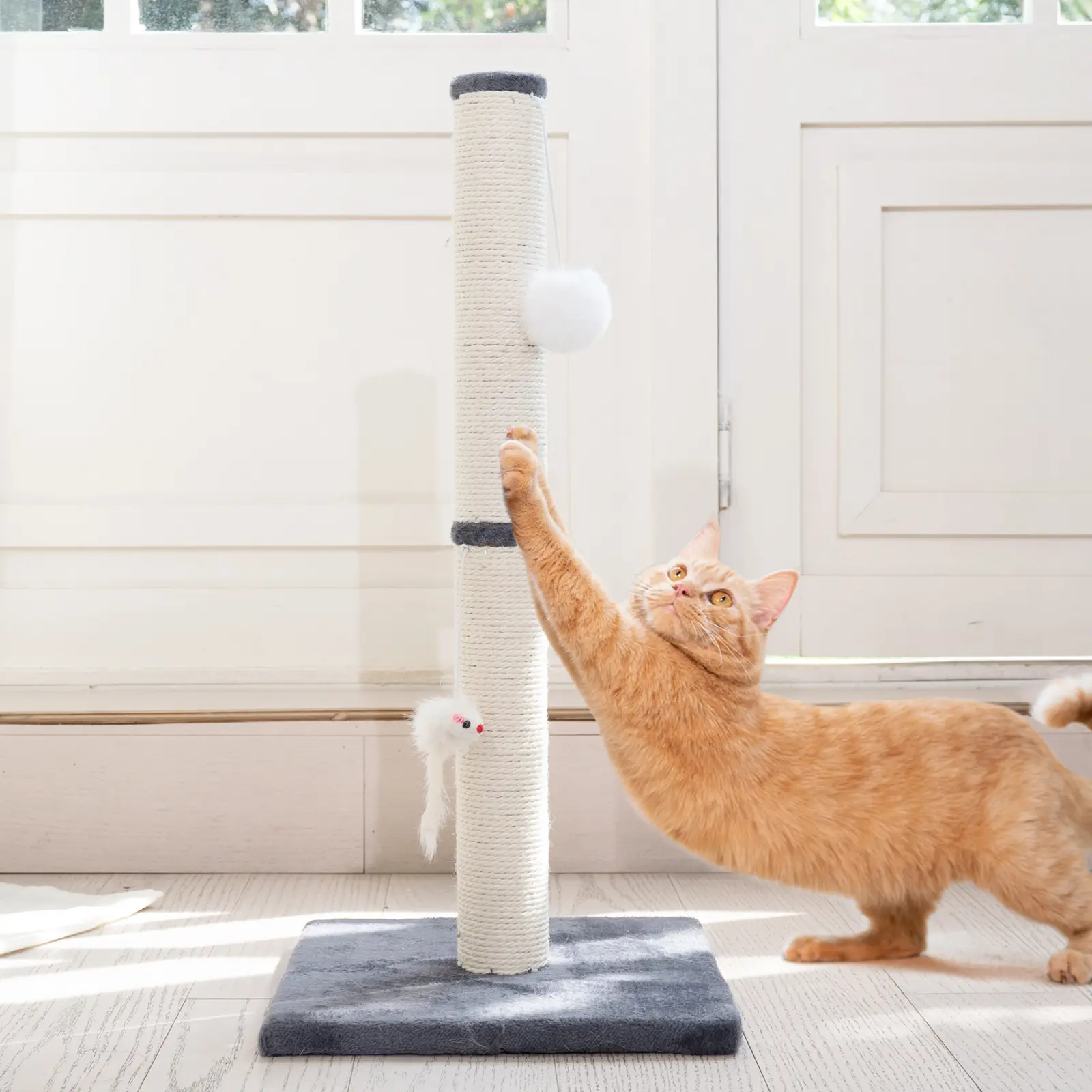 best litter box for bengal cats The Porta-Pawty" Travel Litter Box