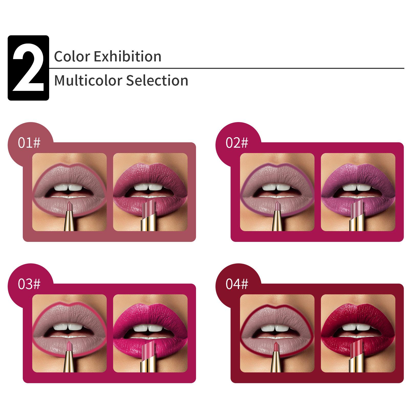 2-in-1 Matte Lipstick & Lip Liner Pen, Creamy Smooth Texture with High Pigment, Lip Duo for Defined Lips and Full Color, for Daily Wear and Parties