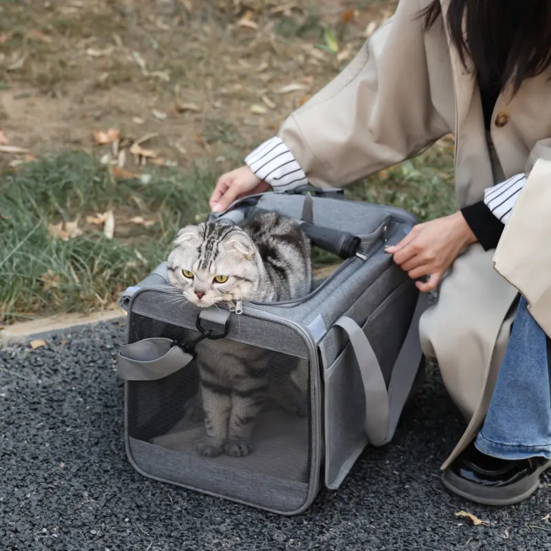 Foldable Fabric Carrier for Large Cats & Small Dogs - Airline Approved Washable Bag with Privacy Curtain, Free Cone, Toys, Harness Pad Holder, Storage Organization, Cordless Vacuum Set, Mirrored Diamond Inlay Console Table