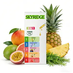 SKYRIDGE Smart Oral Care: Electric Metal Oral Spray, Available in Various Flavors—Instantly Freshen Your Breath for Spring Dates and Travel