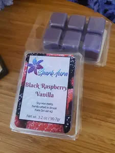 Black Raspberry Vanilla scented wax melt 3.2 oz