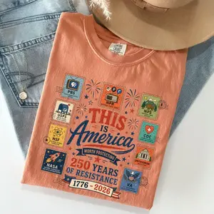Comfort Colors This is America Vintage Stamps Protect Democratic Institutions PBS NPR Liberal Fourth of July shirt, National Parks USPS Leftist Protest