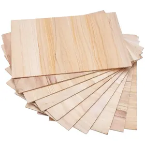 10-Piece Taekwondo Breaking Boards 0.3/0.6cm - Karate Practice Punching Boards Breakable Wood Sheets for Training