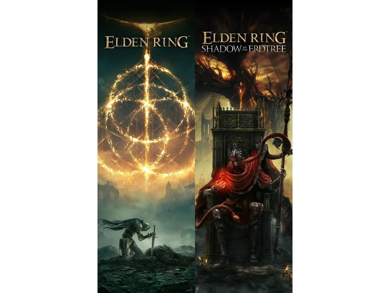 ELDEN RING Shadow of the Erdtree Edition - PC [Steam Online Game Code]