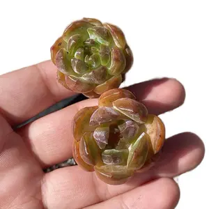 Rare Echeveria Red Lover Korean Live Succulent - Unique Succulent for Decor and Gardening