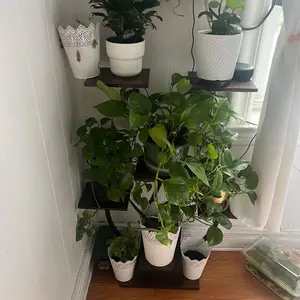 Adjustable Plant Stand for Home Use with Personalized Grow Feature Enhances Indoor Space with Greenery for Customized Plant Care