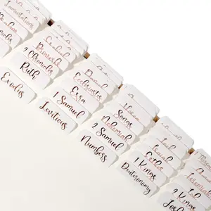 Laminated  Tabs for Women,  Study, Bronze Foil Indexing Labels,  Journaling, Durable,  and Old Testament, Christian, Catholic, Apocrypha, 90 Tabs - Creamsicle