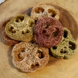 GnawLoof Natural Loofah Chew Toy for Rabbits, Guinea Pigs & Small Animals | Plant-Based Dental Chew | Organic Fiber Enrichment Toy