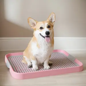 Indoor Dog and Cat Training Potty Tray | Leak-Proof Solution for Clean Floors & Dry Paws | Perfect for Home Training
