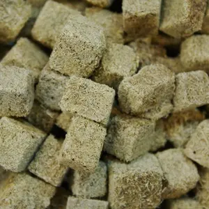 Freeze-Dried Tubifex Worms Nutritious high-protein fish and aquatic pet food enhancing growth, color, and vitality